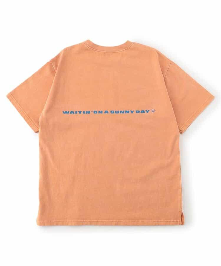 【連衣裙】5色5款服裝染色T恤（成人）