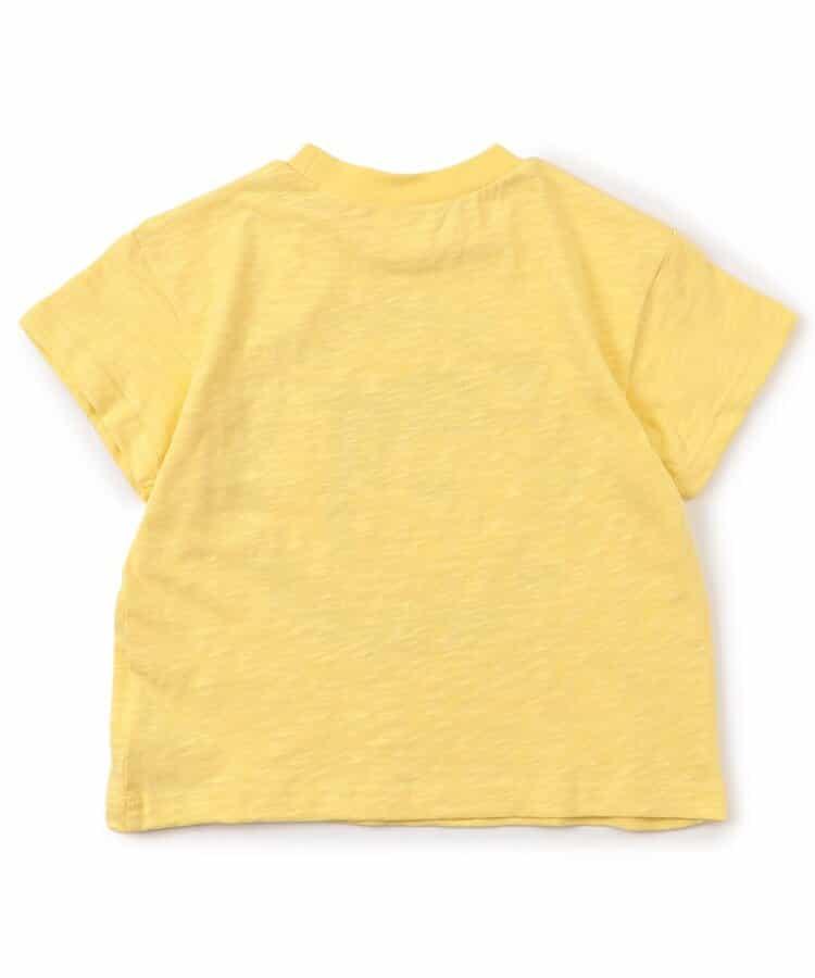 4件動物圖案T恤