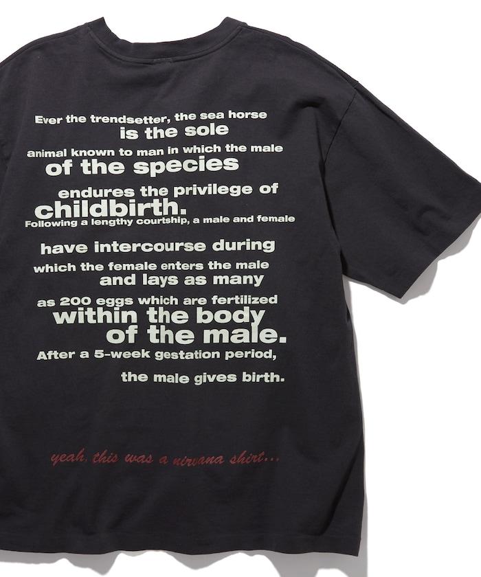 涅槃樂隊《一切道歉》圓領短袖T恤