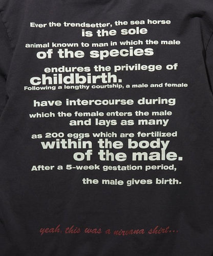 涅槃樂隊《一切道歉》圓領短袖T恤