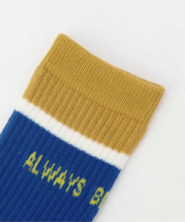 3P套裝 網絡 Logo襪