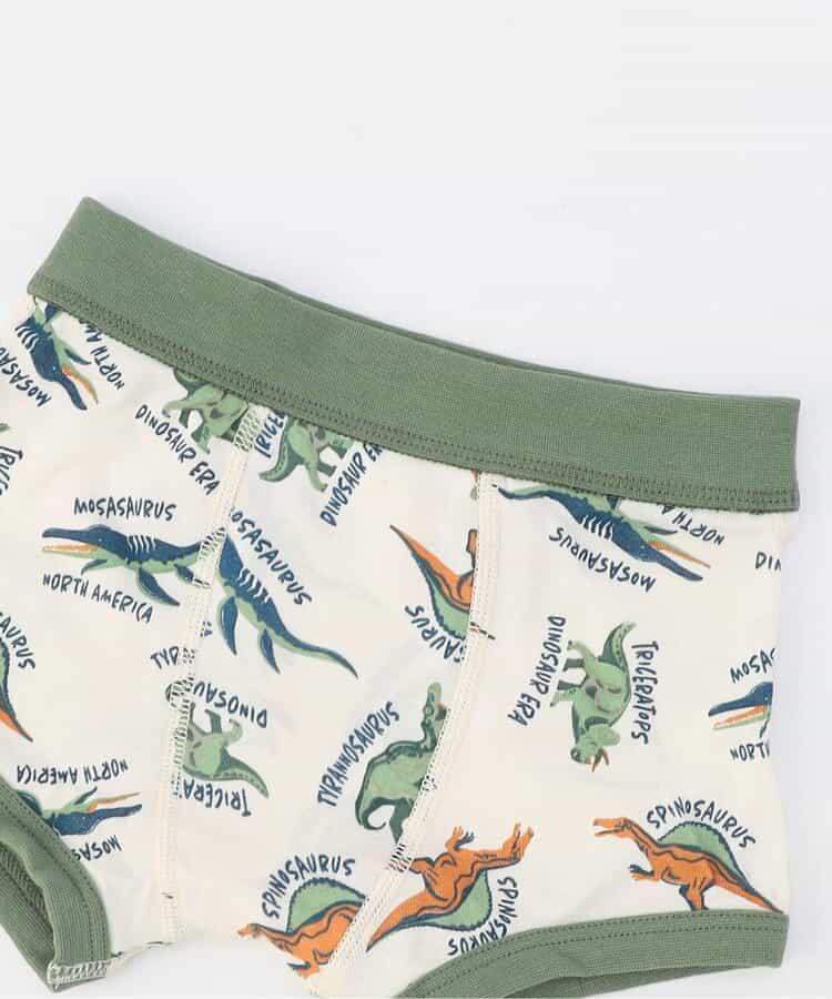 3P套裝 多樣款男士平角內褲C