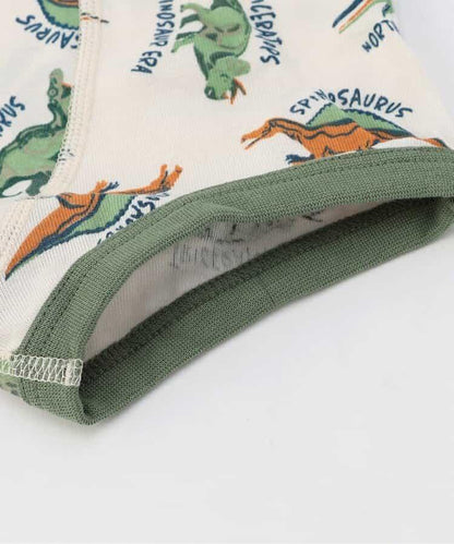 3P套裝 多樣款男士平角內褲C