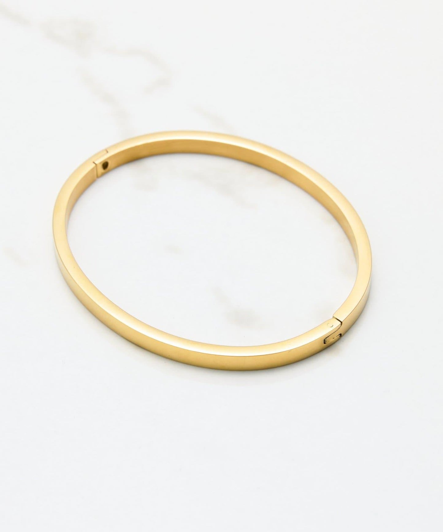 【PAPILLONNER/蝴蝶】不鏽鋼手鐲