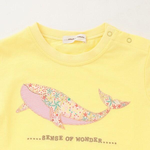 接觸冷感アデラジャ鯨T恤