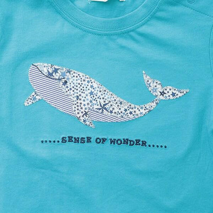 接觸冷感アデラジャ鯨T恤