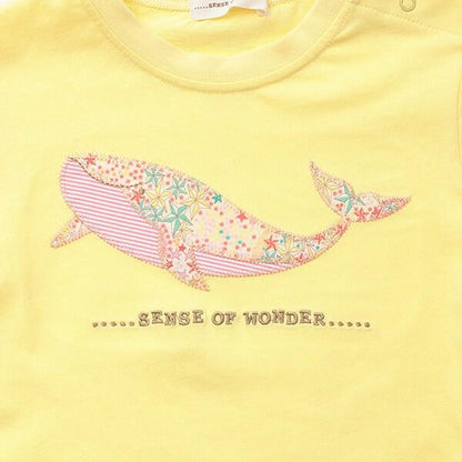 接觸冷感アデラジャ鯨T恤