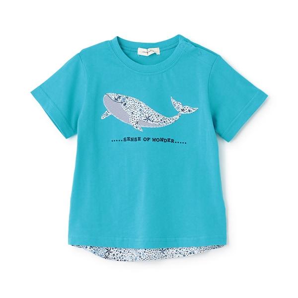 接觸冷感アデラジャ鯨T恤