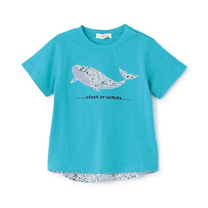 接觸冷感アデラジャ鯨T恤