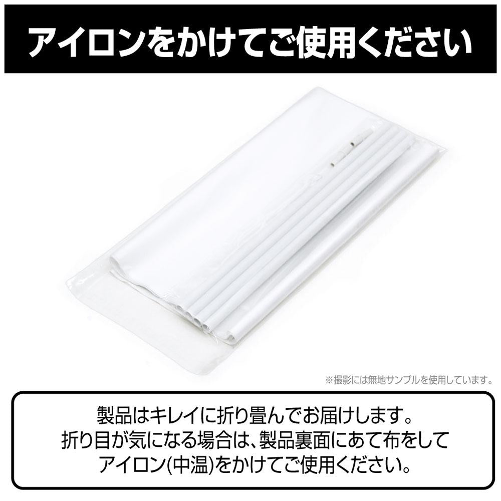 《Re：從零開始的異世界生活》（Re：從零開始的異世界生活） 新繪製系列 B2掛畫布 派對款