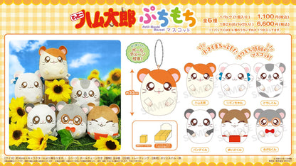 《哈姆太郎》_迷你軟萌掛件【BOX／6包入】