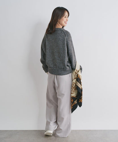 拉鍊亮絲紗線插肩袖針織衫