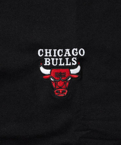 特別版 NBA 球隊標誌套裝