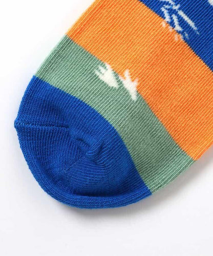 3雙裝 恐龍地層圖案襪