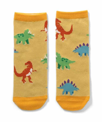 3雙裝 通用款襪子