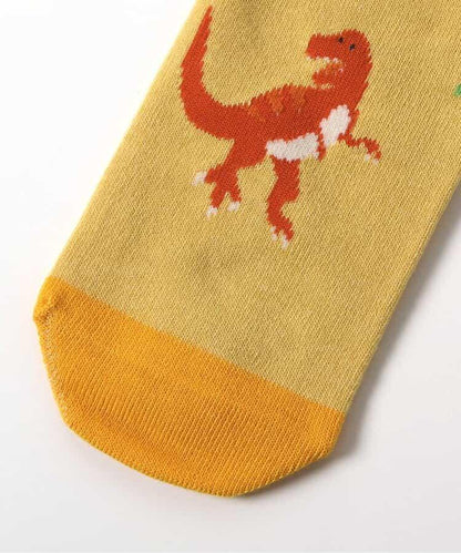 3雙裝 通用款襪子