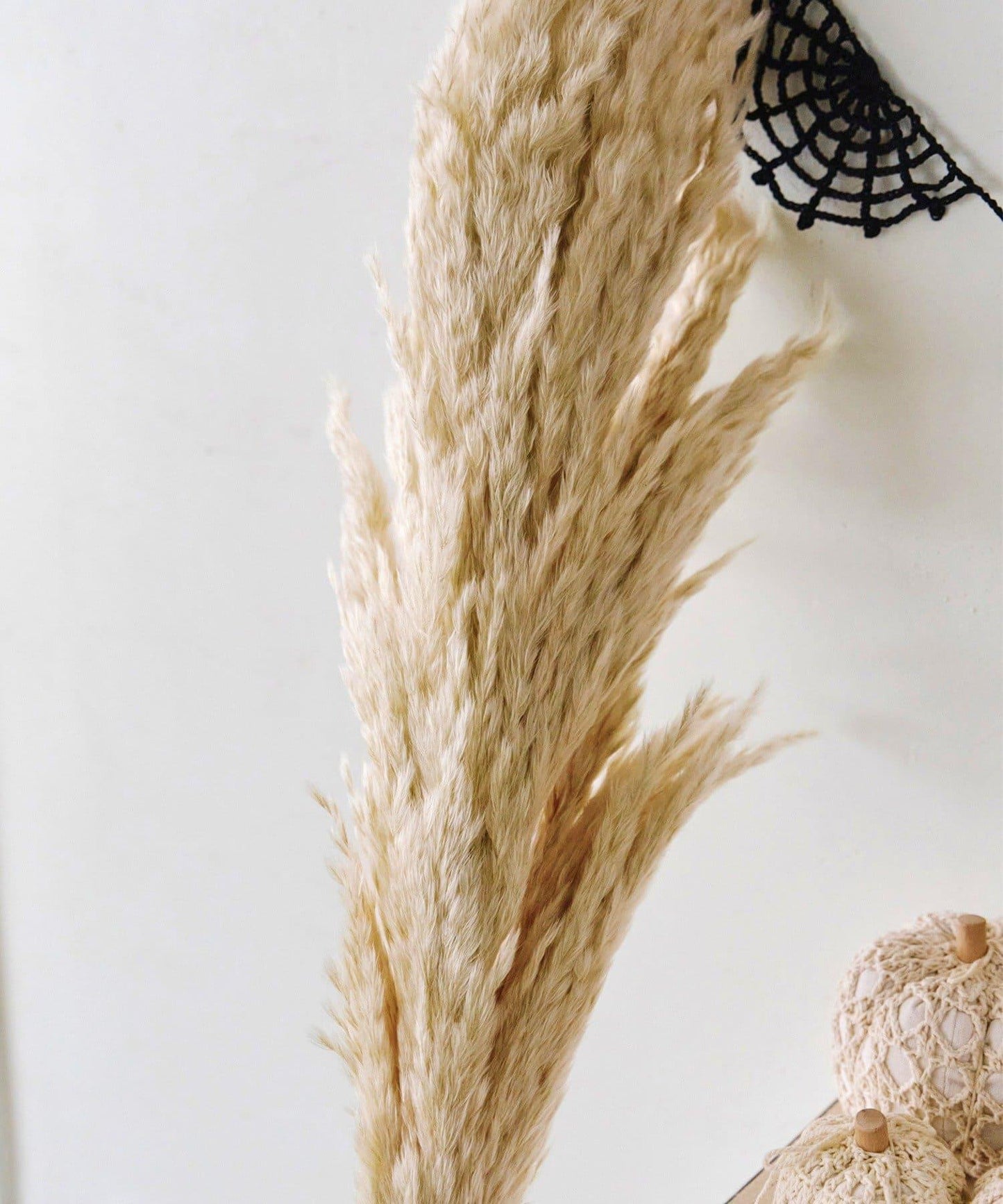パンパスグラス/Crochet Halloween