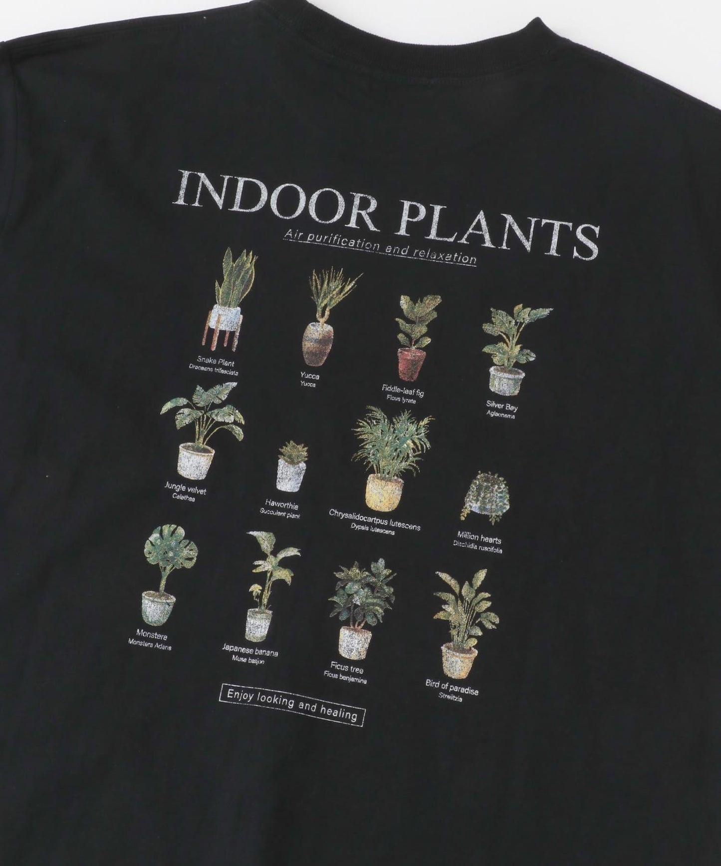 Plants背面印花仿舊風格T恤