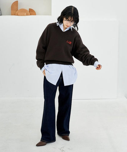 特別款V領套頭衫/衛衣風針織衫