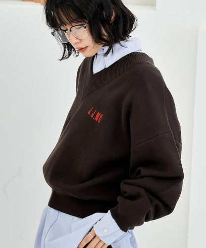 特別款V領套頭衫/衛衣風針織衫