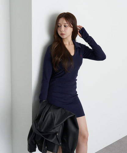 長袖翻領刺繡迷你連衣裙