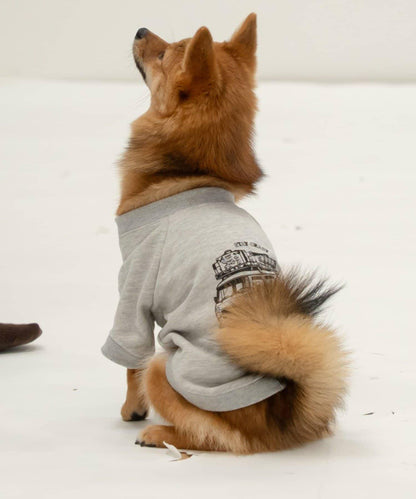 【DOD】【寵物服飾】汽車旅行T恤