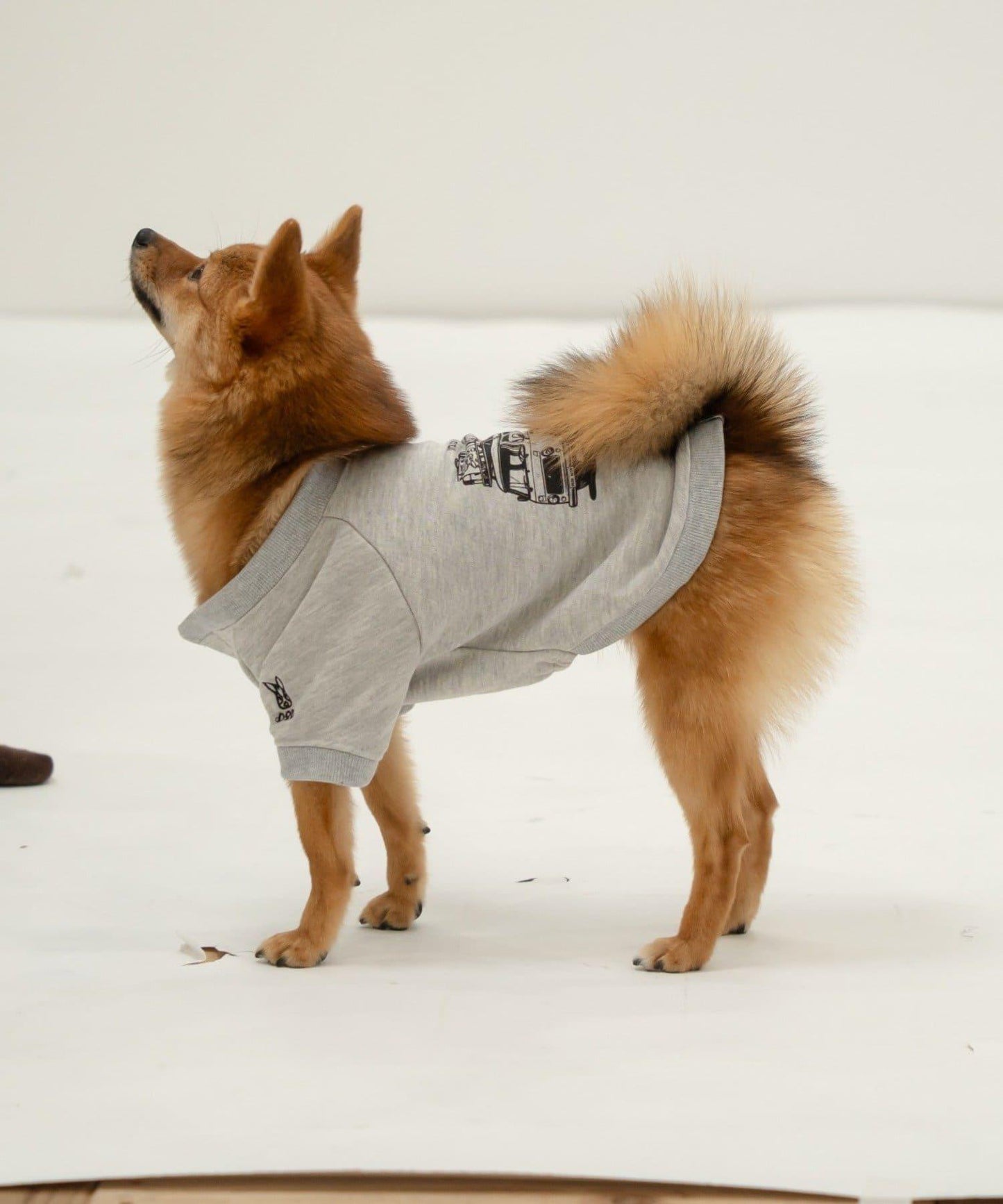 【DOD】【寵物服飾】汽車旅行T恤