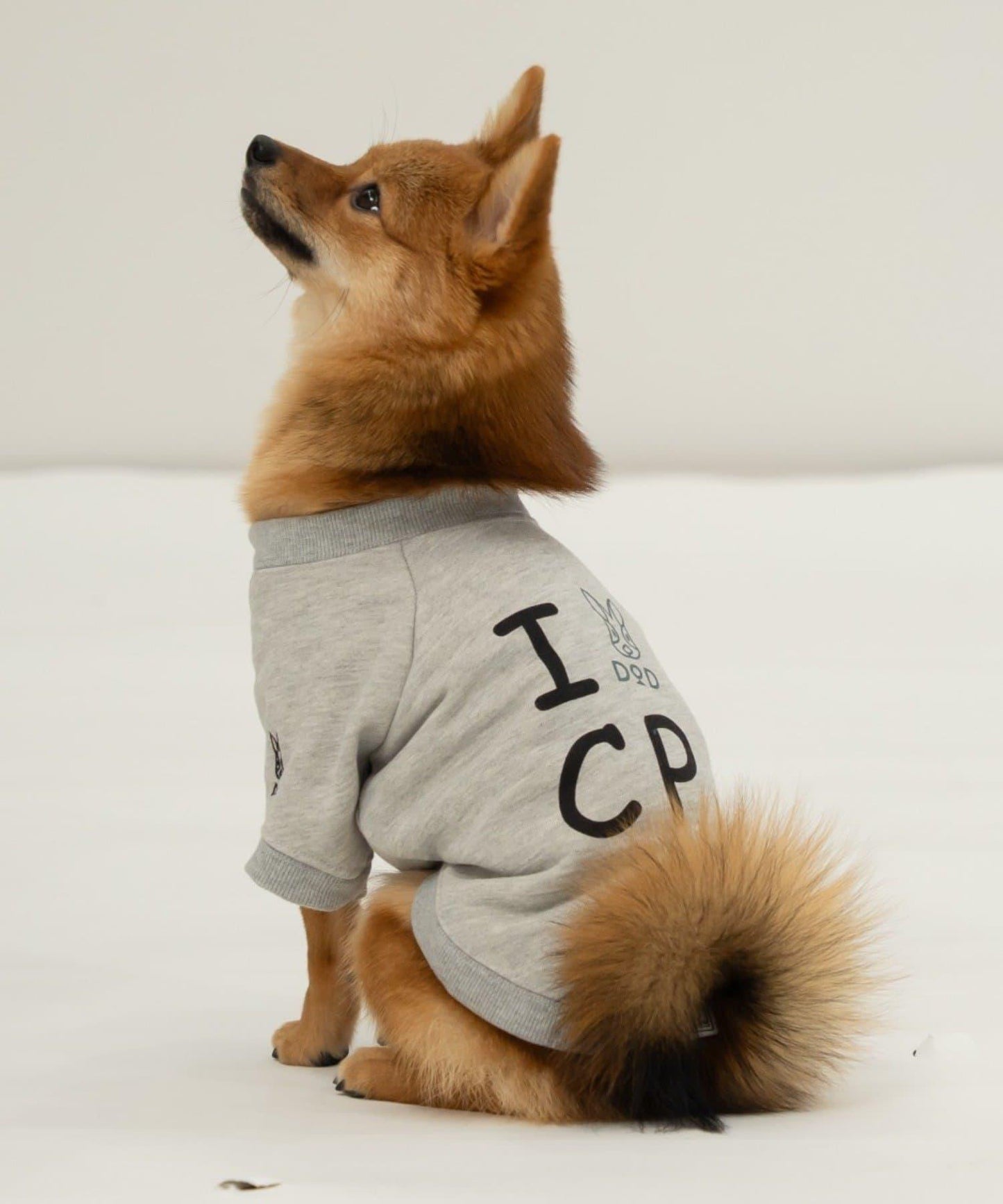 【DOD】【狗狗服飾】伊茲拉布