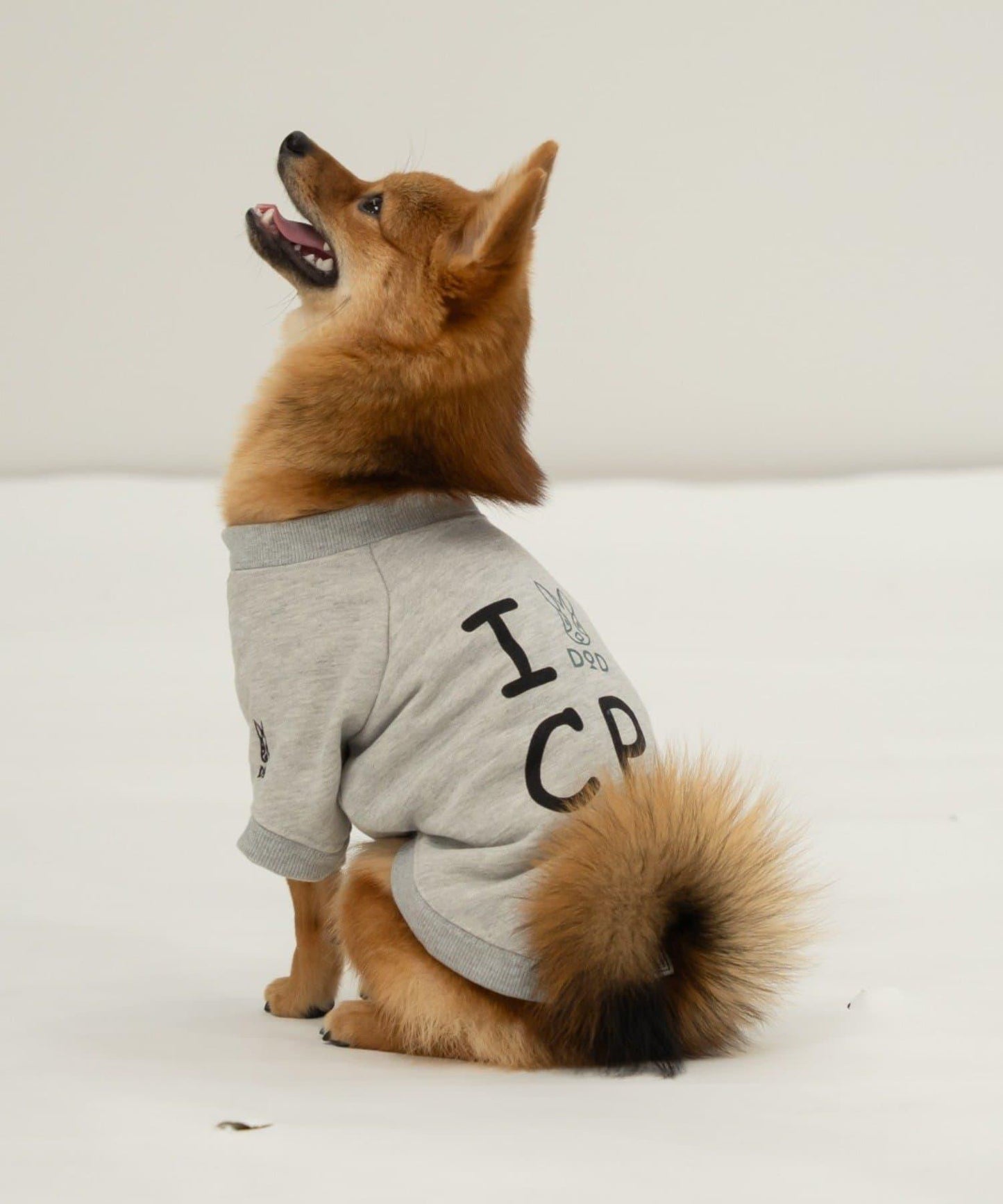 【DOD】【狗狗服飾】伊茲拉布