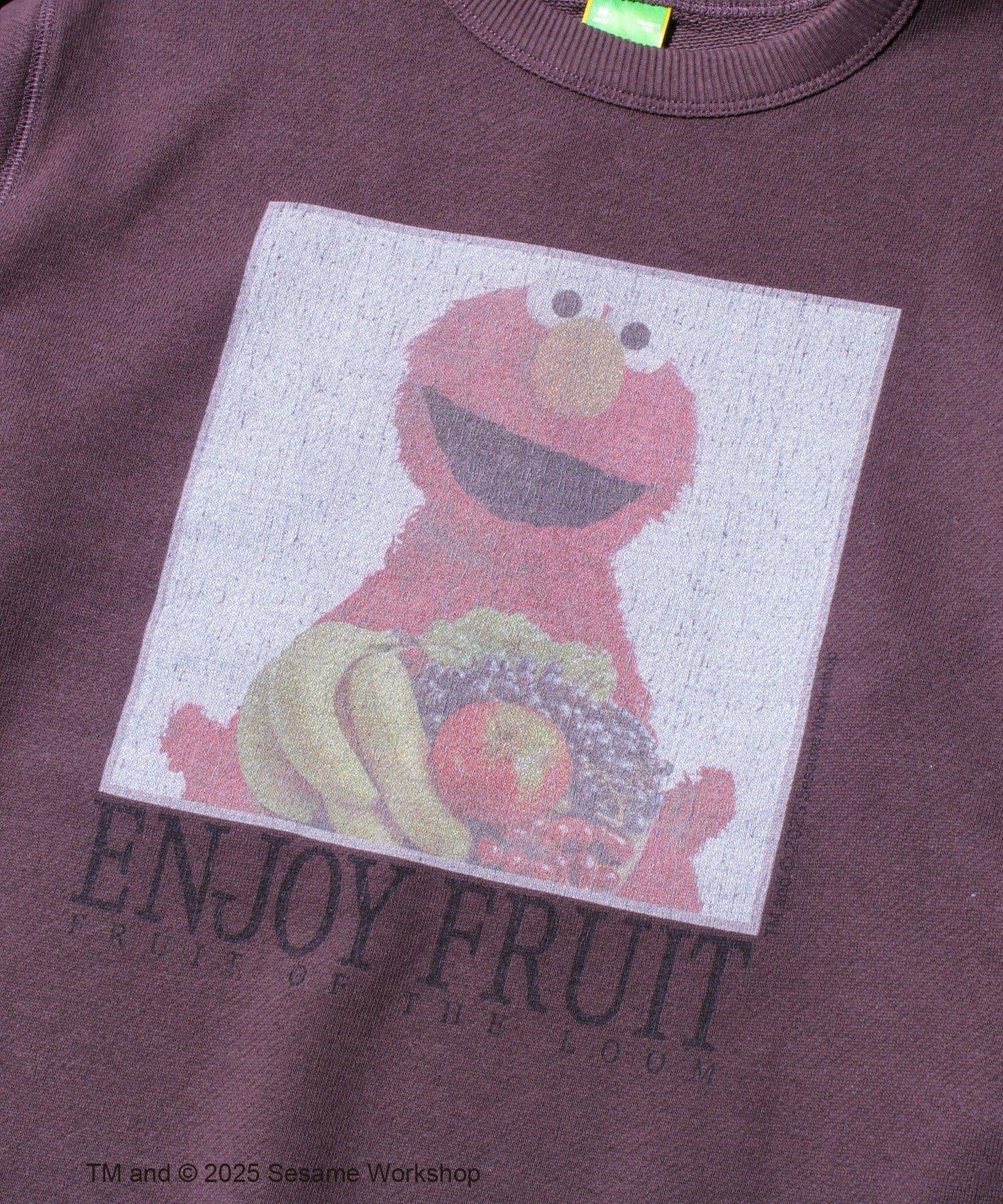 【SESAME STREET × FOTL】艾摩加厚毛圈衛衣