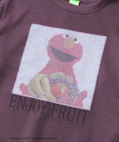 【SESAME STREET × FOTL】艾摩加厚毛圈衛衣