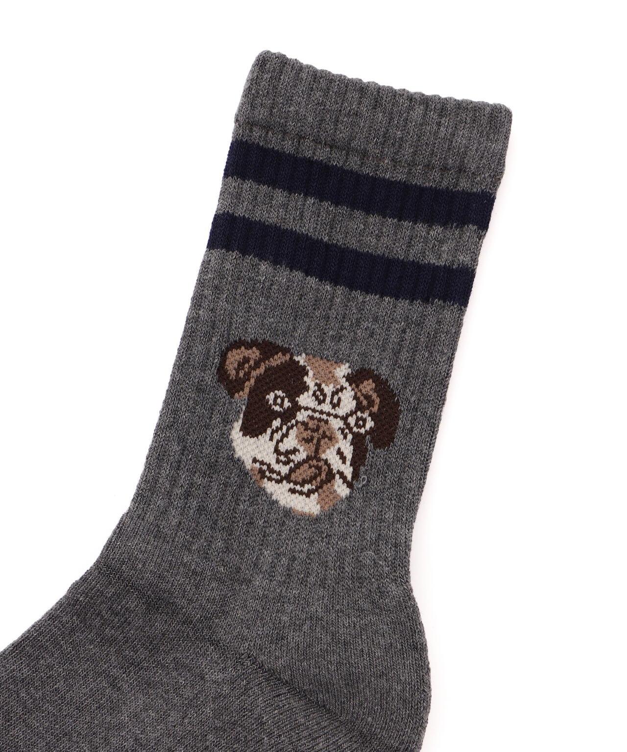 ROSTER SOX/狗狗圖案襪