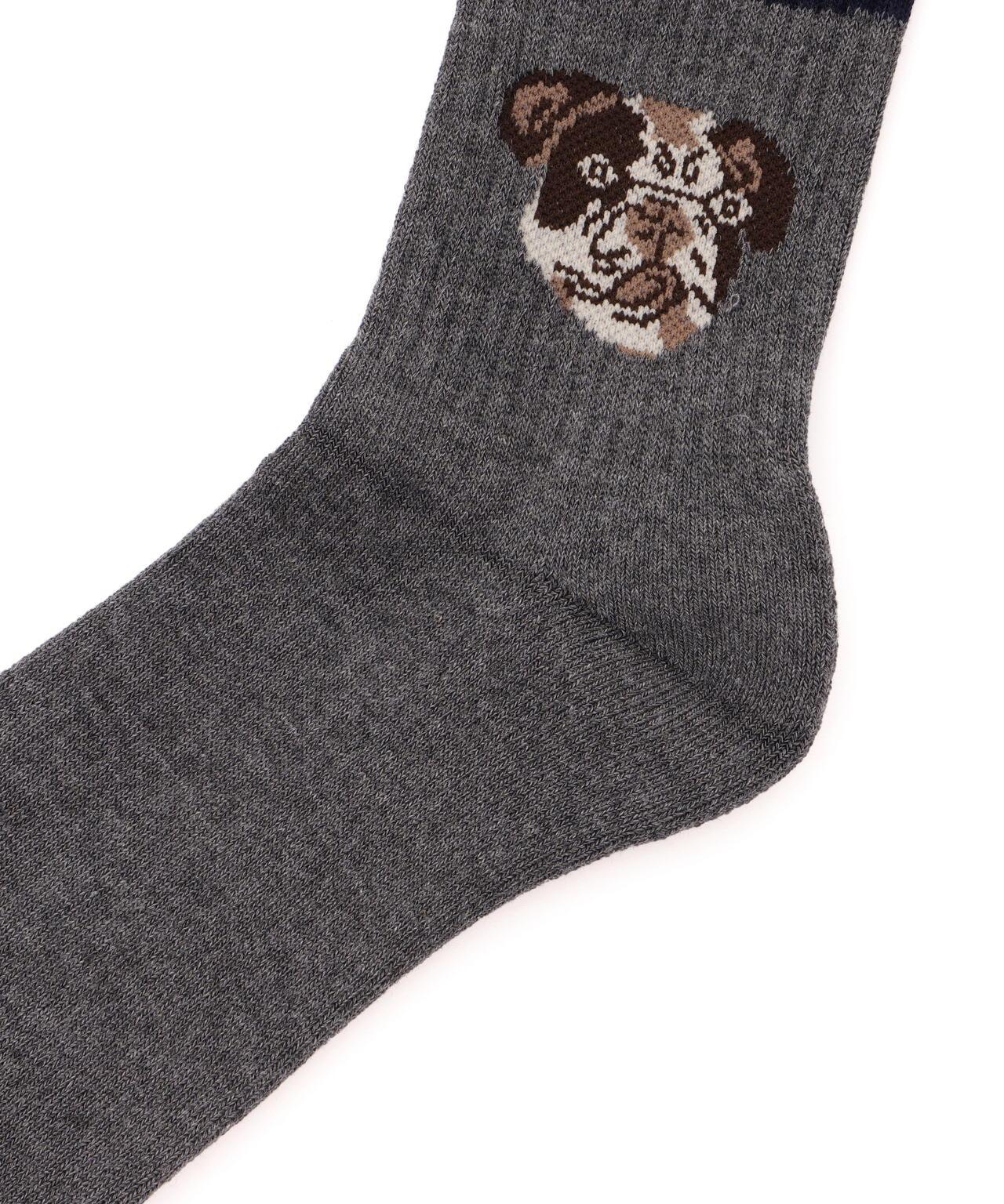 ROSTER SOX/狗狗圖案襪