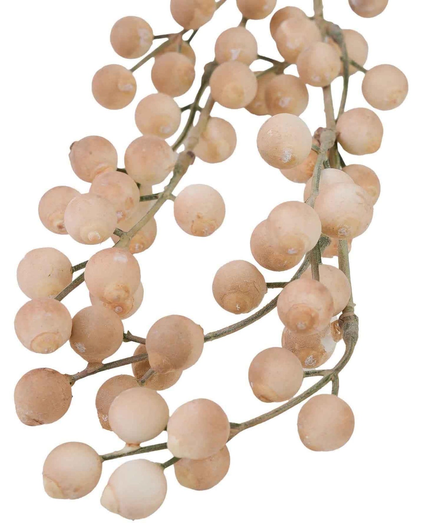 グレインブランチ