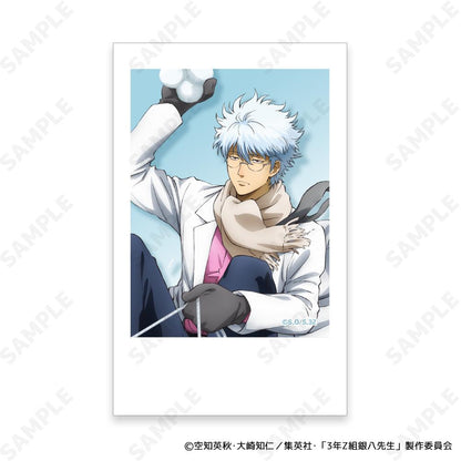 3年Z班銀八老師 真人膠片照片[雪仗!] 【全套BOX／8個裝】