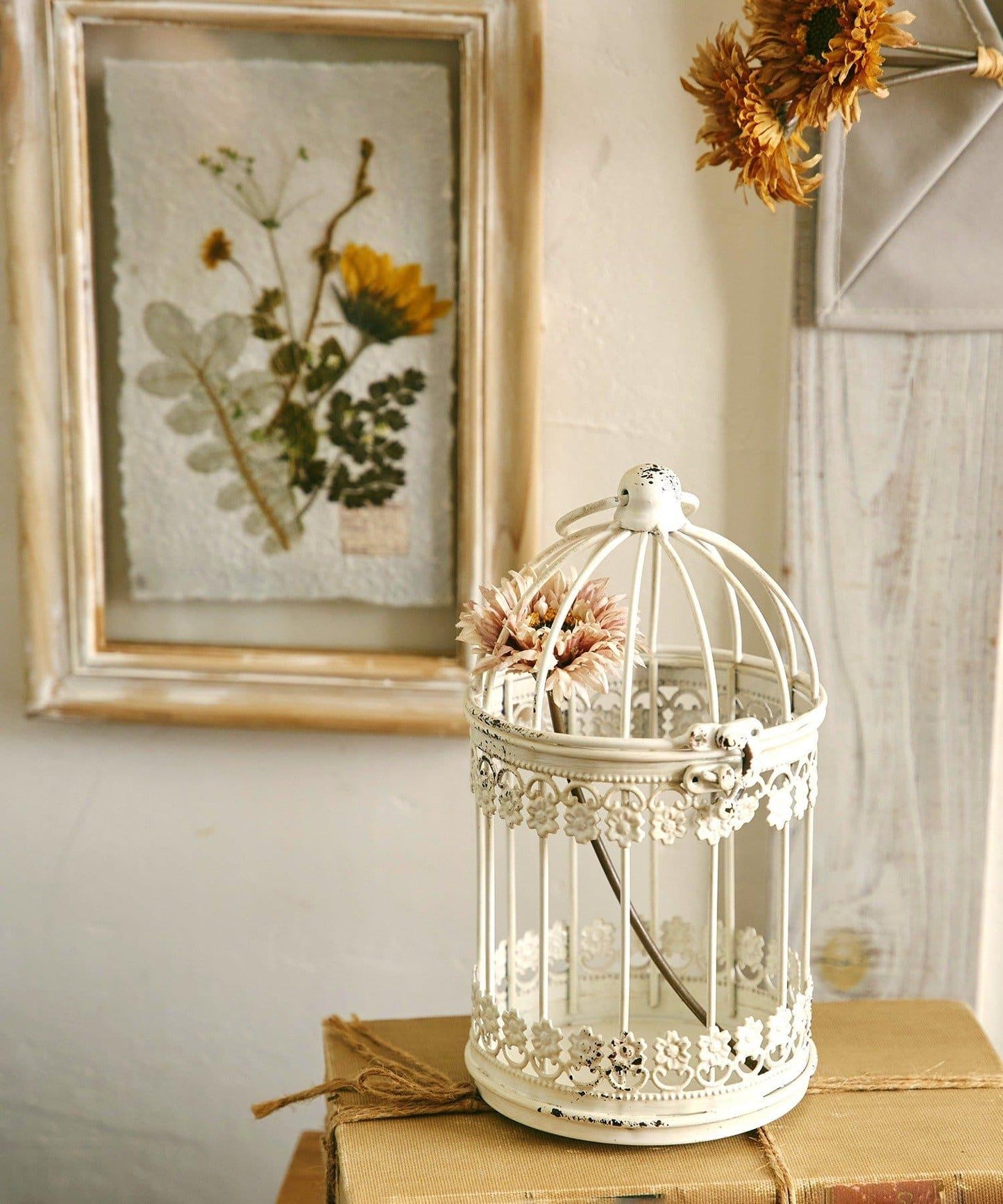 鳥籠 vieille beauté