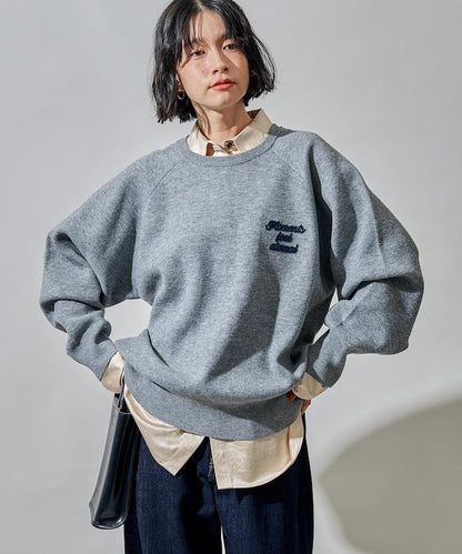 刷毛刺繡插肩袖針織衫/衛衣風格針織衫