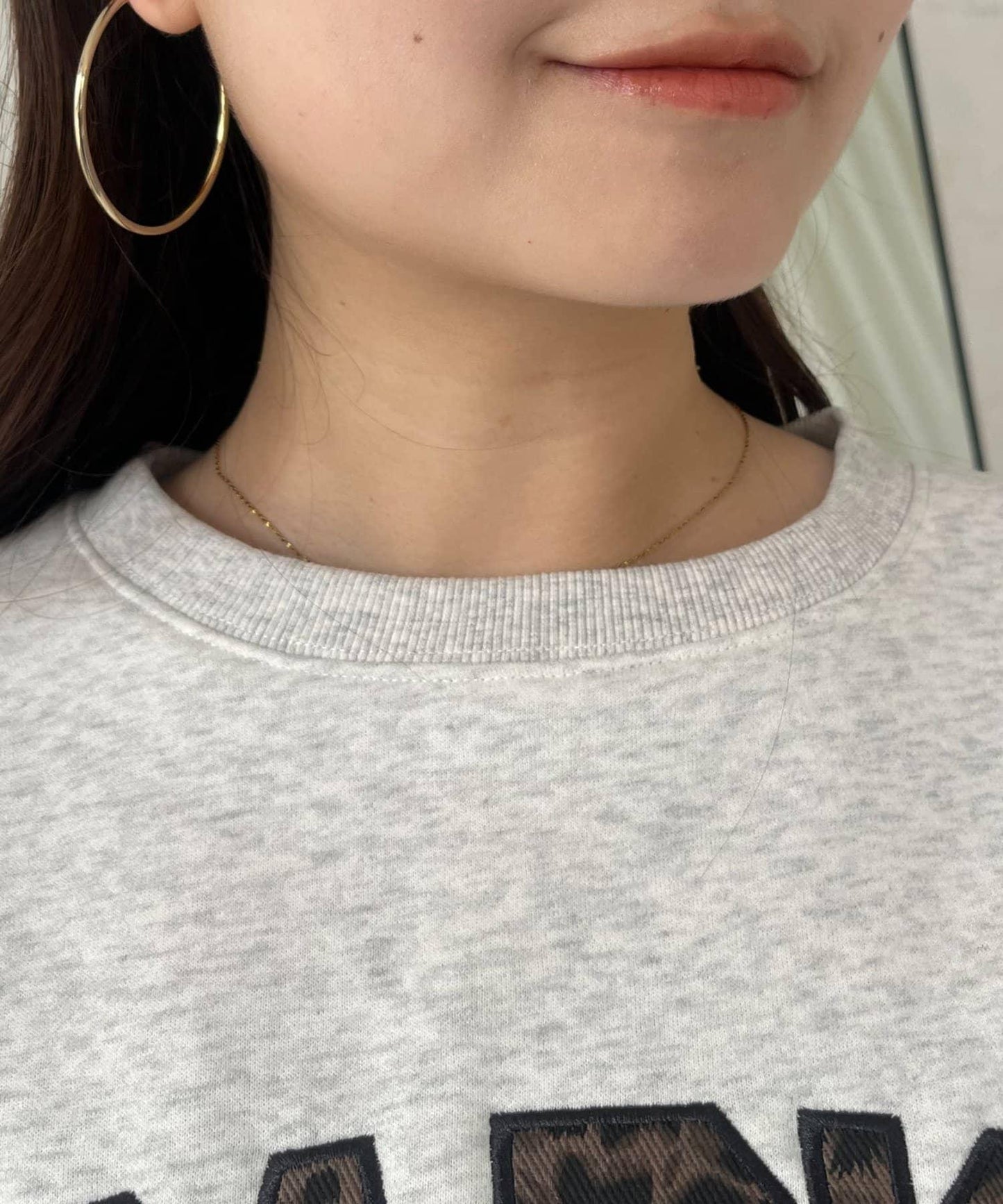 PARIS豹紋標誌加絨衛衣