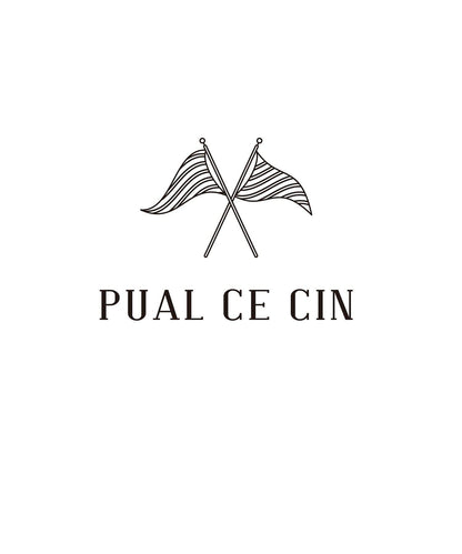 雙向彈力蕾絲 上衣