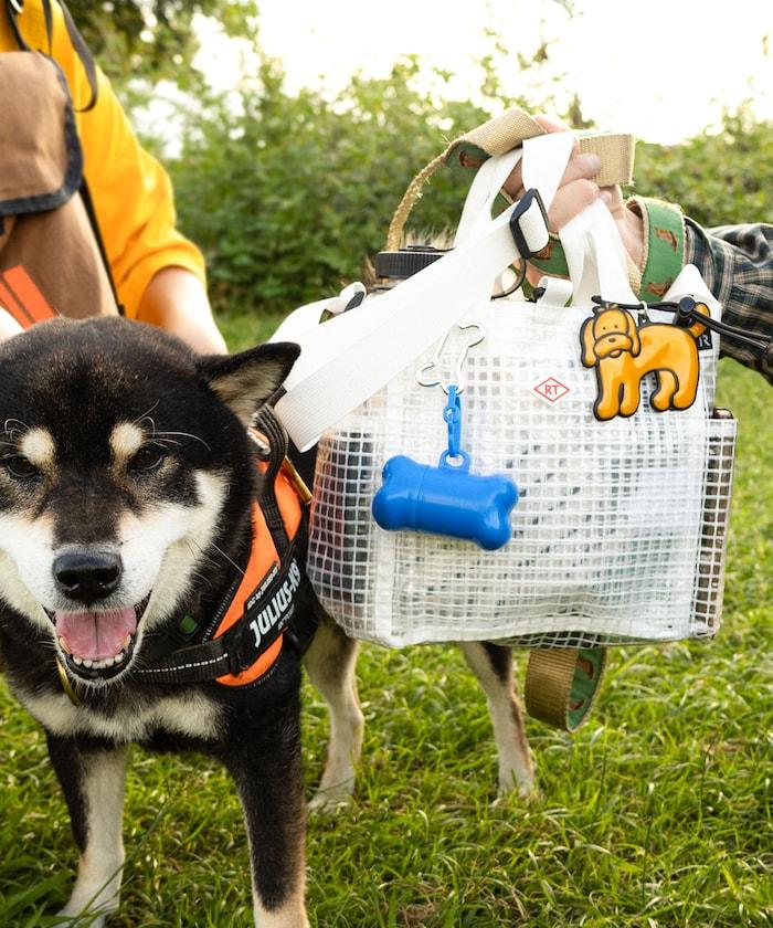 SN.方形.DOG.BUDDY-A