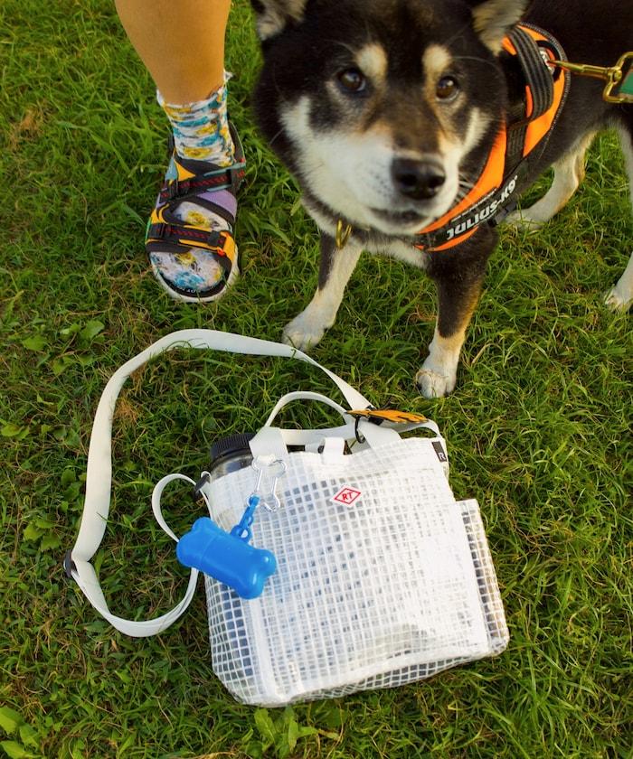 SN.方形.DOG.BUDDY-A