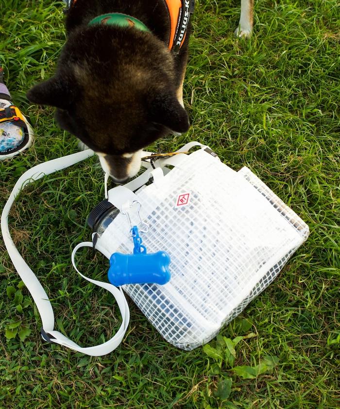 SN.方形.DOG.BUDDY-A