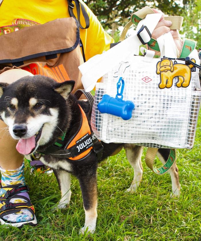 SN.方形.DOG.BUDDY-A