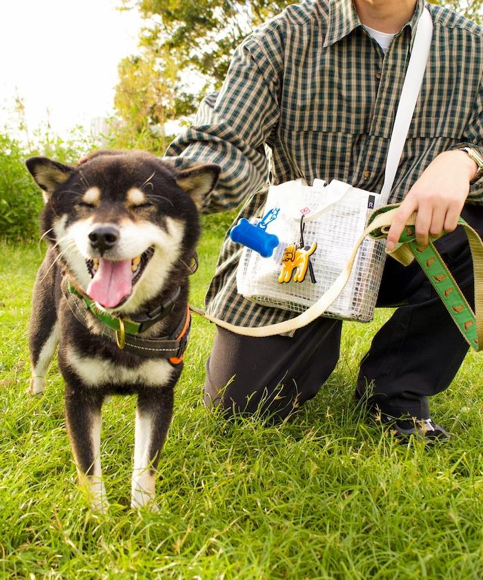 SN.方形.DOG.BUDDY-A