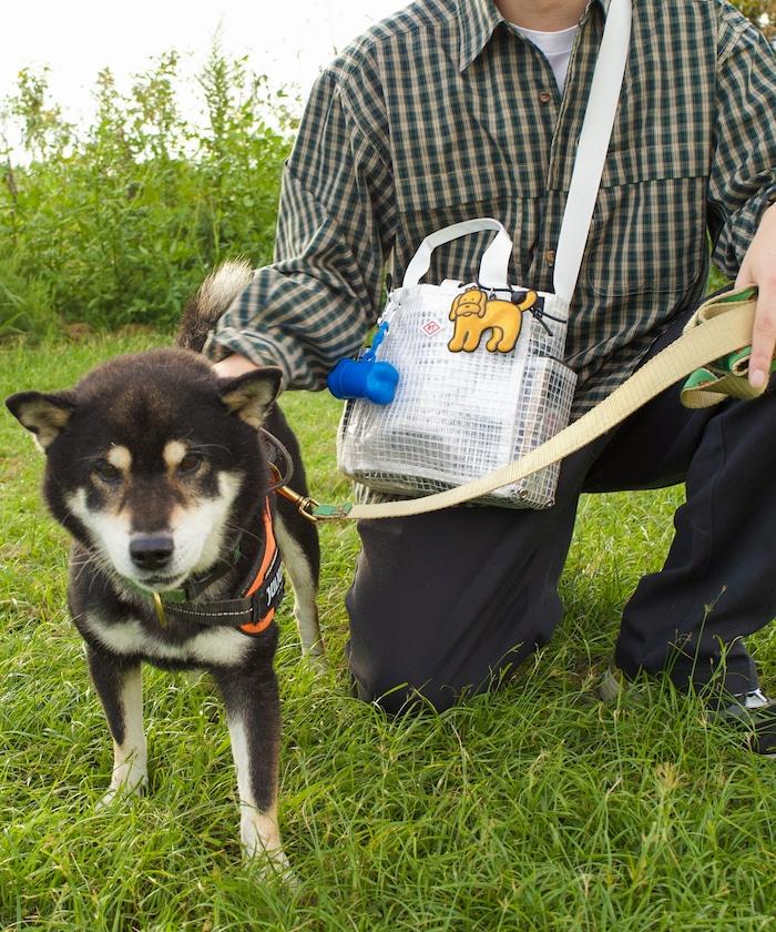 SN.方形.DOG.BUDDY-A