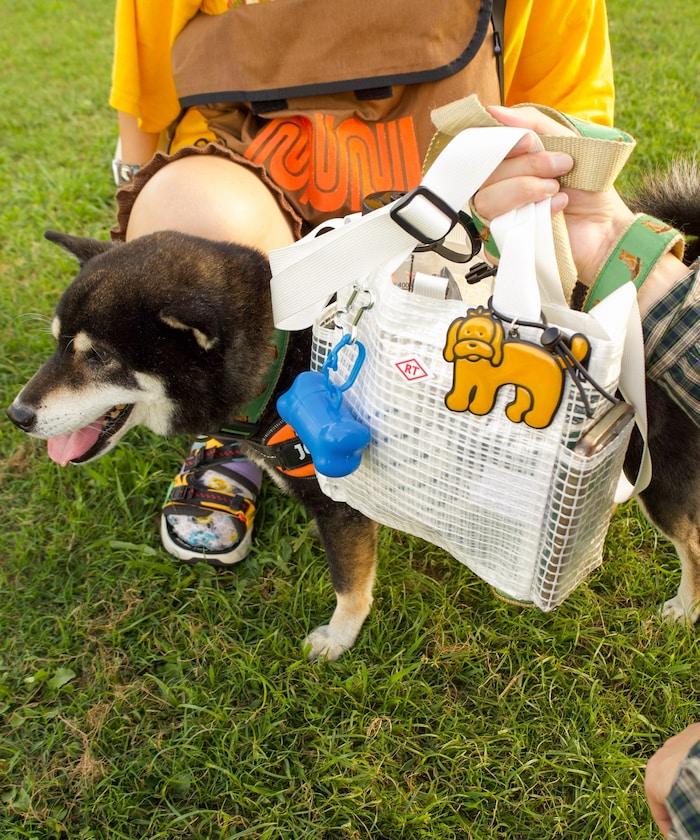 SN.方形.DOG.BUDDY-A