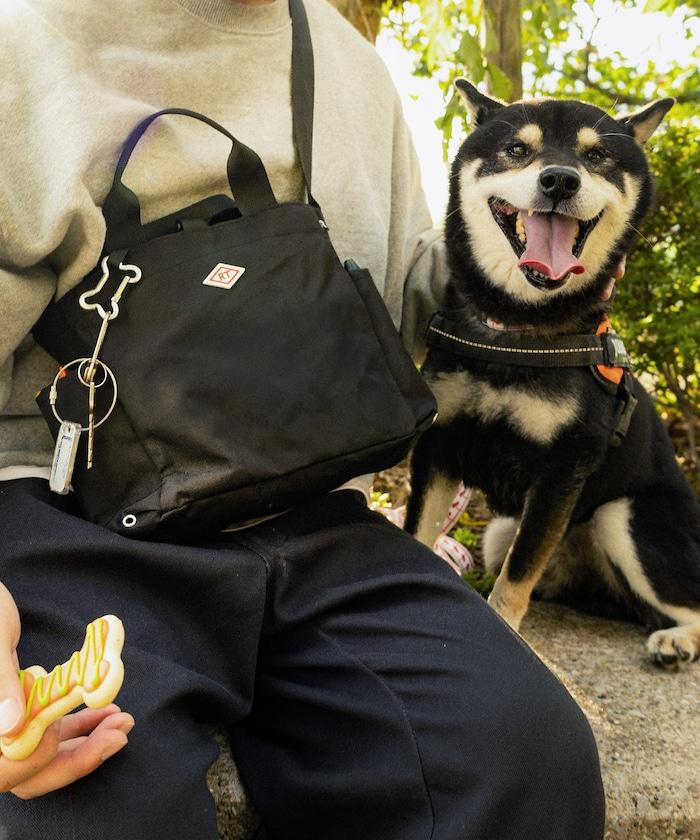 SN.方形.DOG.BUDDY-B