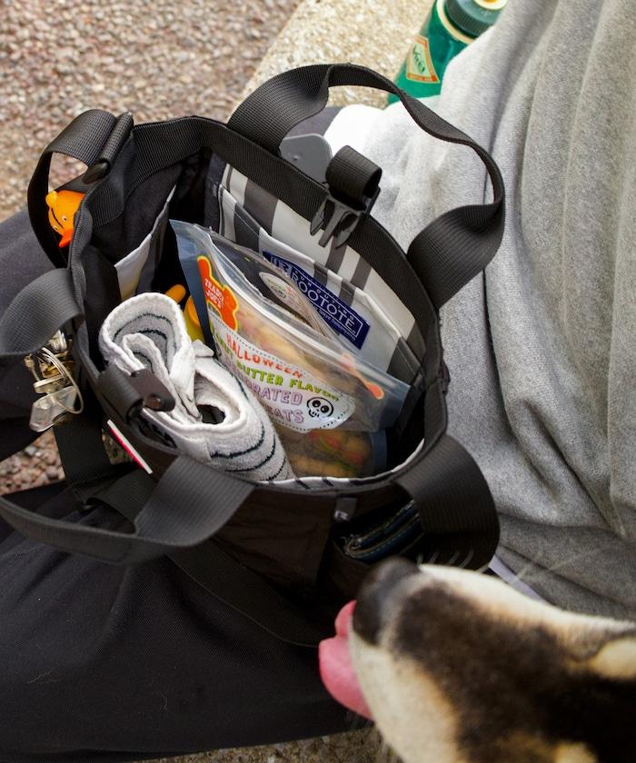 SN.方形.DOG.BUDDY-B