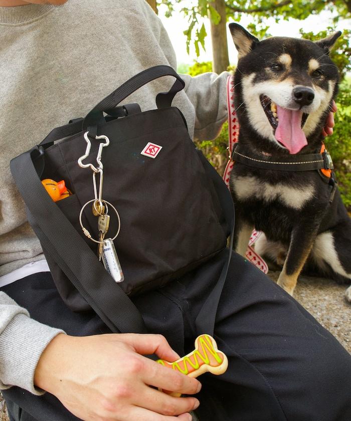 SN.方形.DOG.BUDDY-B