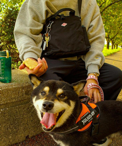 SN.方形.DOG.BUDDY-B